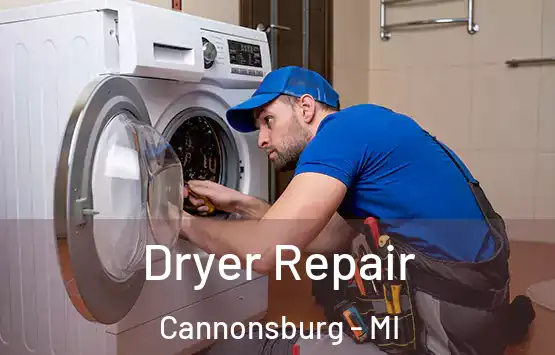  Dryer Repair Cannonsburg - MI