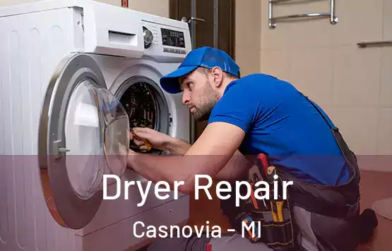  Dryer Repair Casnovia - MI