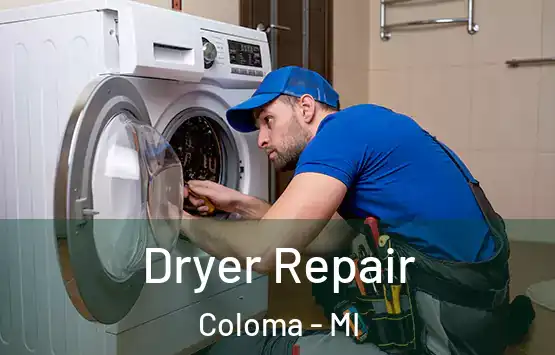  Dryer Repair Coloma - MI