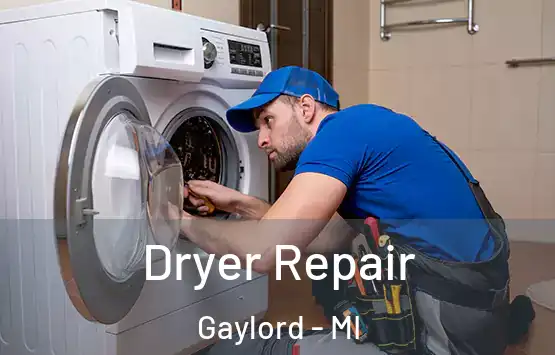  Dryer Repair Gaylord - MI