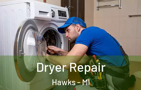  Dryer Repair Hawks - MI