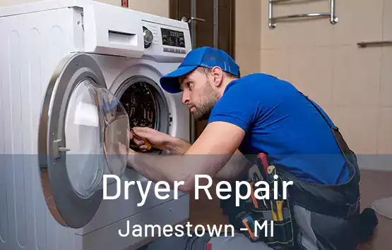  Dryer Repair Jamestown - MI