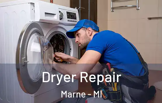  Dryer Repair Marne - MI