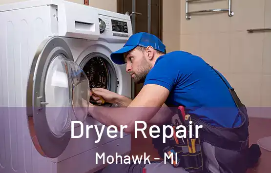  Dryer Repair Mohawk - MI