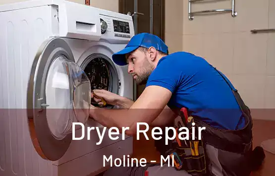  Dryer Repair Moline - MI