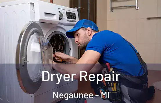  Dryer Repair Negaunee - MI