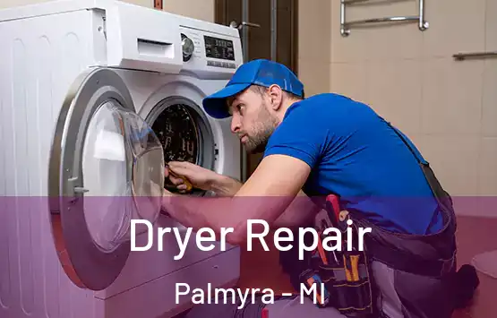  Dryer Repair Palmyra - MI