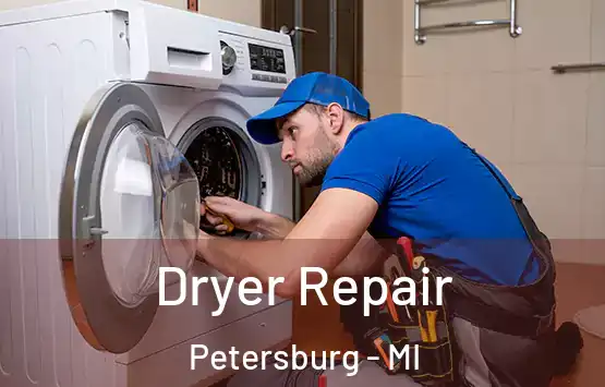  Dryer Repair Petersburg - MI