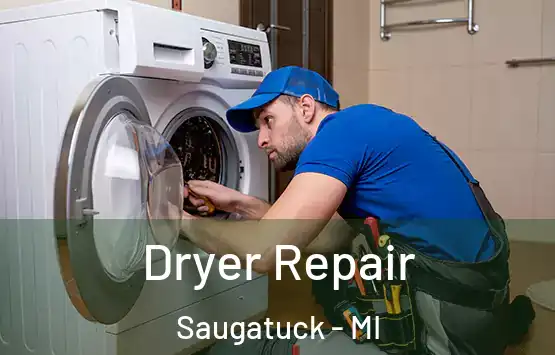  Dryer Repair Saugatuck - MI