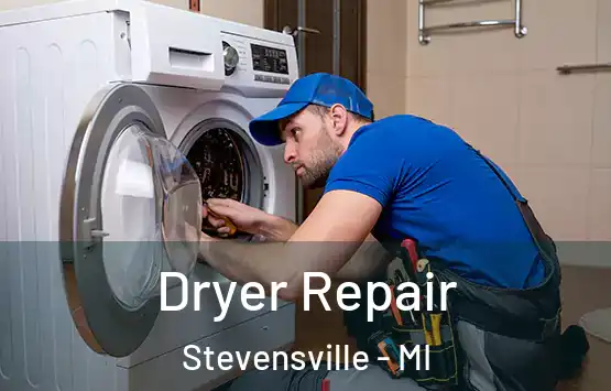  Dryer Repair Stevensville - MI