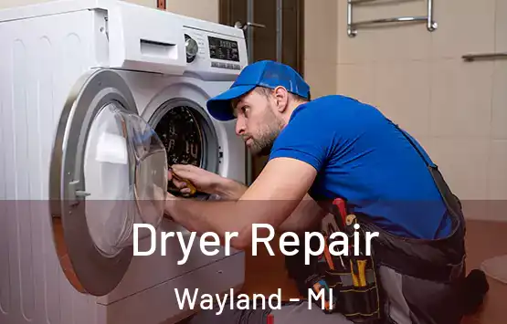  Dryer Repair Wayland - MI
