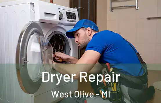  Dryer Repair West Olive - MI