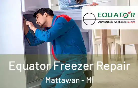  Equator Freezer Repair Mattawan - MI