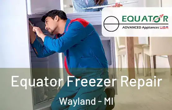  Equator Freezer Repair Wayland - MI