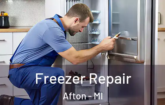  Freezer Repair Afton - MI