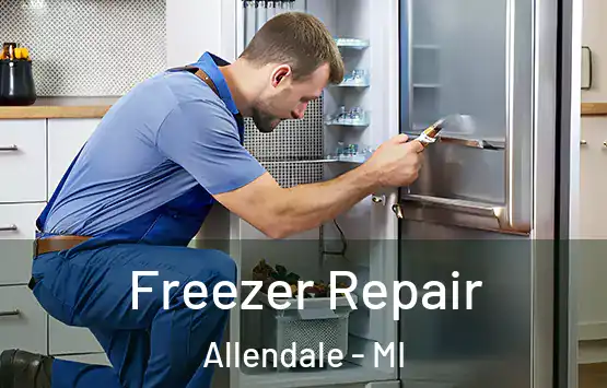  Freezer Repair Allendale - MI