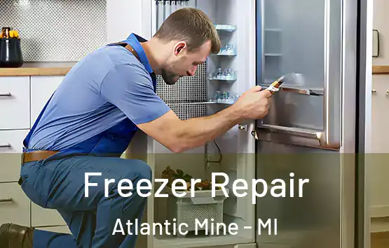  Freezer Repair Atlantic Mine - MI