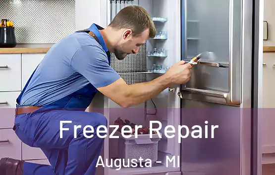  Freezer Repair Augusta - MI