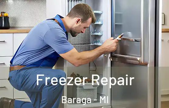  Freezer Repair Baraga - MI