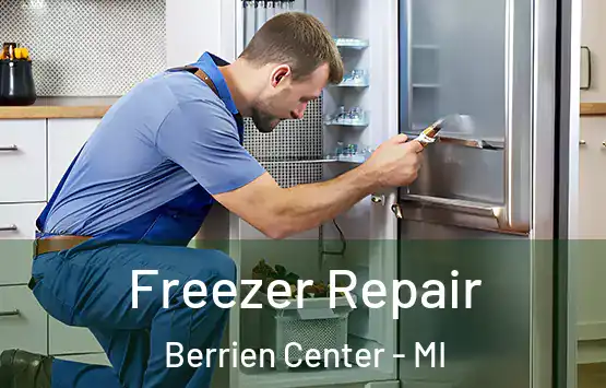  Freezer Repair Berrien Center - MI