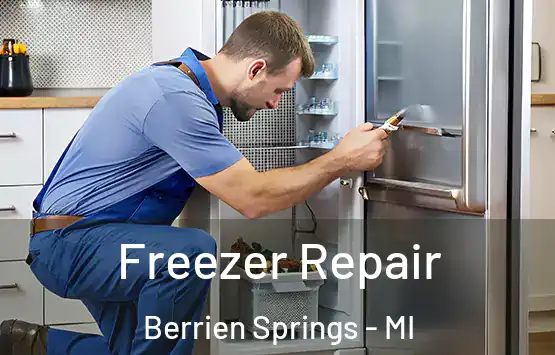  Freezer Repair Berrien Springs - MI