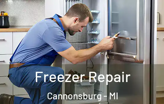  Freezer Repair Cannonsburg - MI