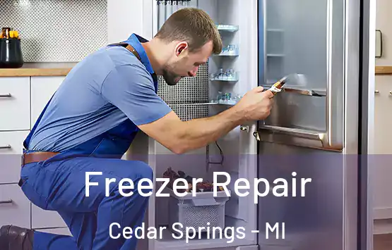  Freezer Repair Cedar Springs - MI