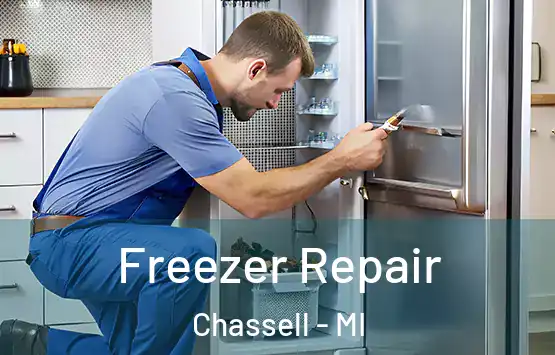  Freezer Repair Chassell - MI