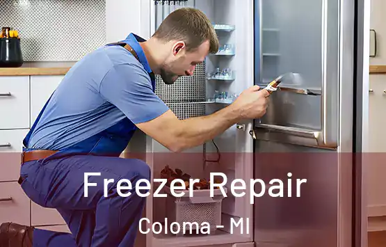  Freezer Repair Coloma - MI