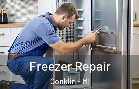  Freezer Repair Conklin - MI