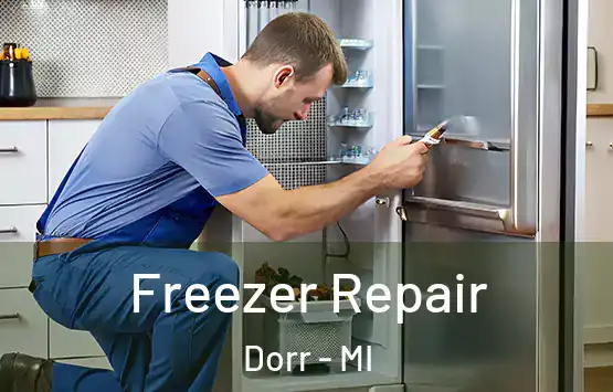  Freezer Repair Dorr - MI