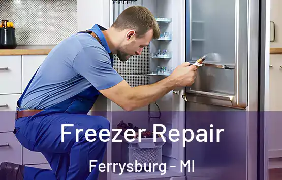  Freezer Repair Ferrysburg - MI