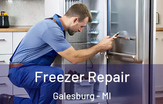  Freezer Repair Galesburg - MI