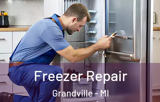  Freezer Repair Grandville - MI