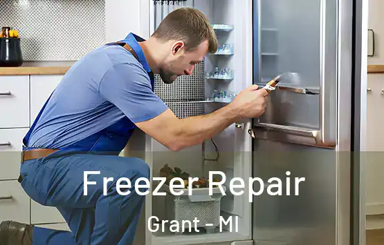  Freezer Repair Grant - MI