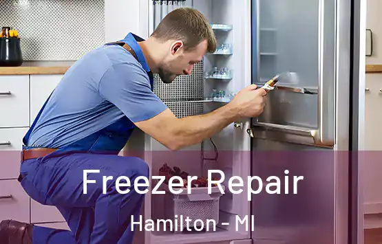  Freezer Repair Hamilton - MI