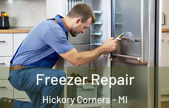  Freezer Repair Hickory Corners - MI