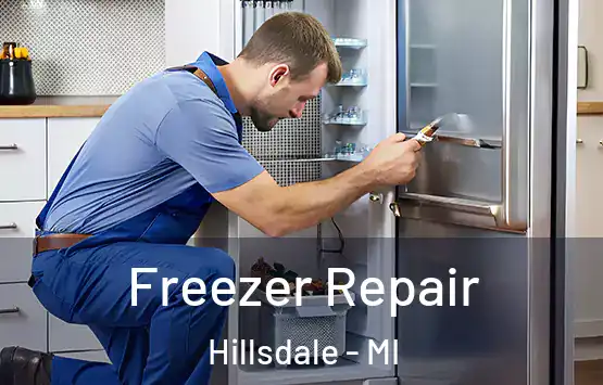  Freezer Repair Hillsdale - MI