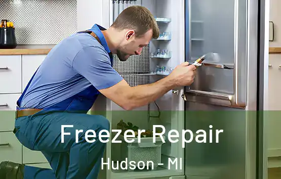  Freezer Repair Hudson - MI
