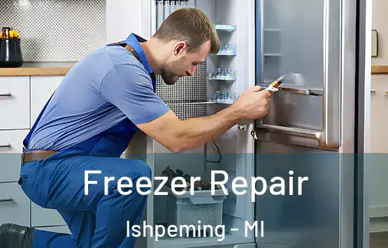 Freezer Repair Ishpeming - MI