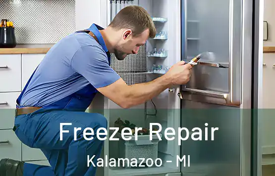  Freezer Repair Kalamazoo - MI