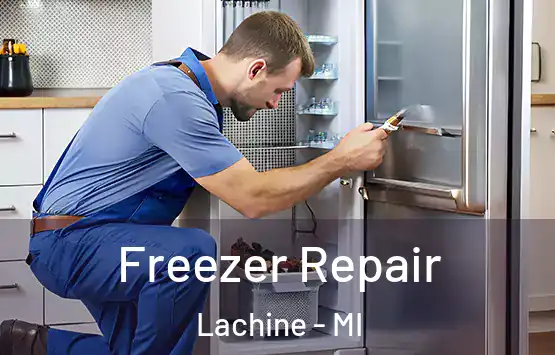  Freezer Repair Lachine - MI