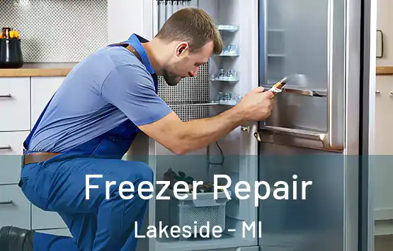 Freezer Repair Lakeside - MI
