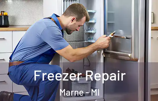  Freezer Repair Marne - MI