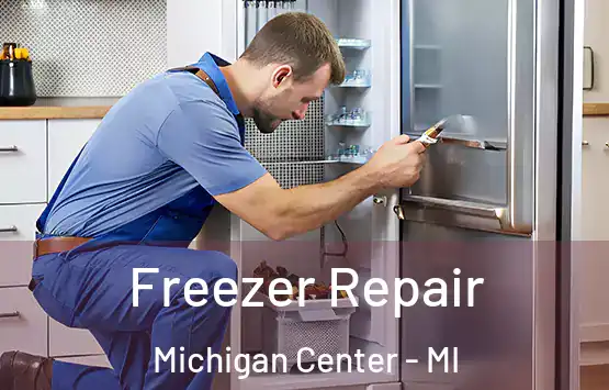  Freezer Repair Michigan Center - MI