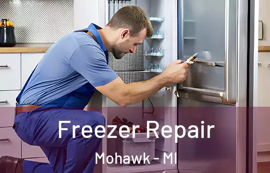  Freezer Repair Mohawk - MI