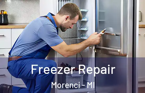  Freezer Repair Morenci - MI