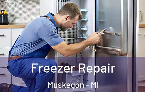  Freezer Repair Muskegon - MI