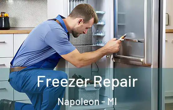  Freezer Repair Napoleon - MI