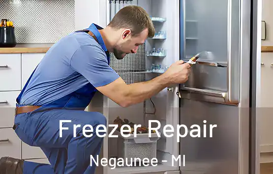  Freezer Repair Negaunee - MI
